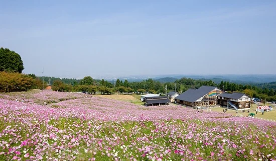 Photo Gallery Image| Mercure Toyama Tonami Resort & Spa