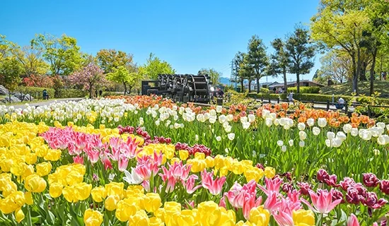 Photo Gallery Image| Mercure Toyama Tonami Resort & Spa