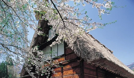 Photo Gallery Image| Mercure Toyama Tonami Resort & Spa