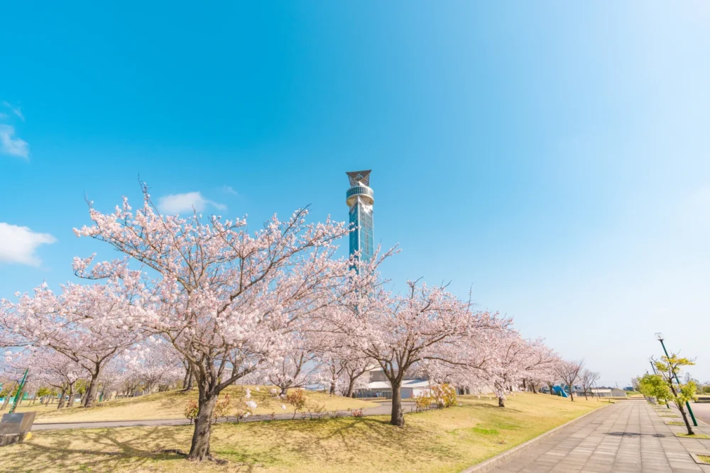 [Oyabe City] Crossland Oyabe