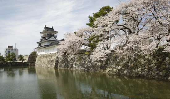 富山城/富山市鄉土博物館