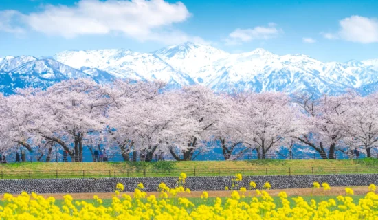 Photo Gallery Image| Mercure Toyama Tonami Resort & Spa