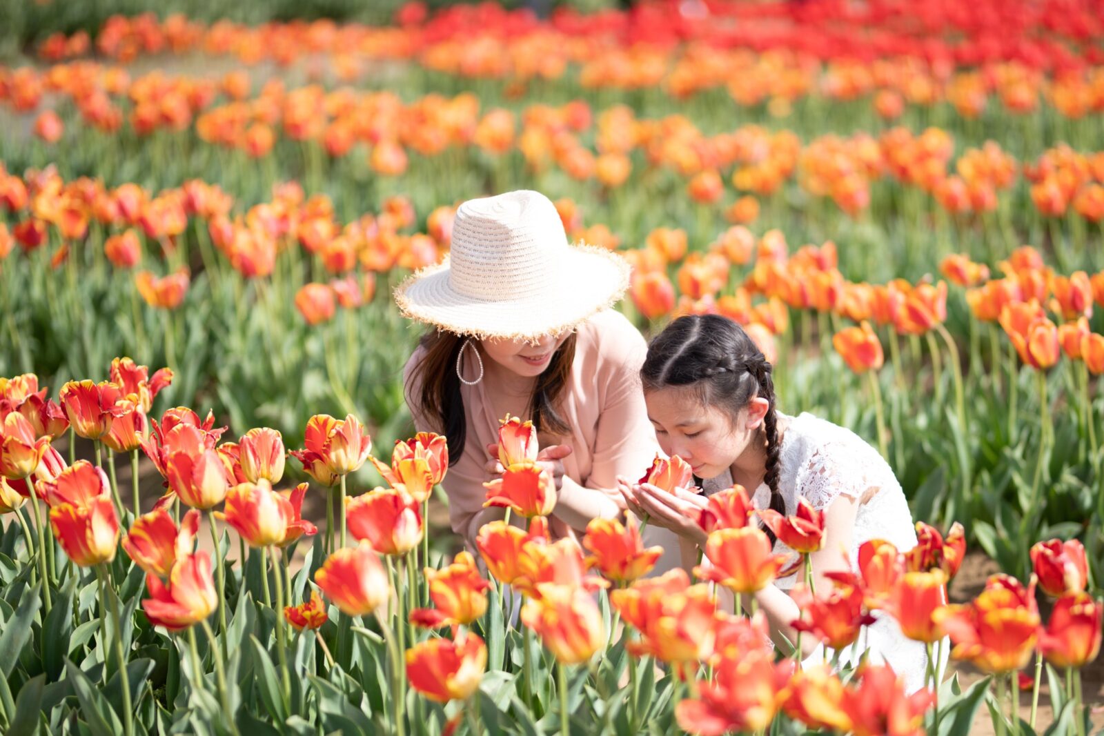 【Official Website Limited Accommodation Plan】 Children under elementary school age are free!