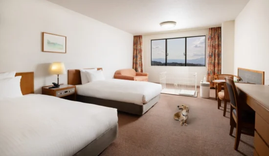 Classic Room with 2 single beds and 2 sofa beds, Dog-friendly