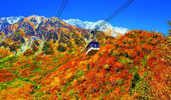 照片画廊图像|富山砺波美居温泉度假酒店